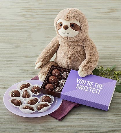 I Love You a Sloth with Chocolates